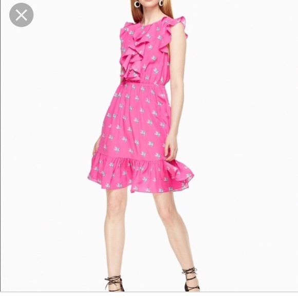 kate spade Dresses & Skirts - Kate spade pink hummingbird ruffle dress 6 nwot